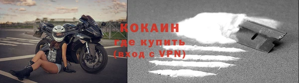соль ск Абаза